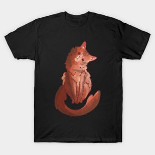Somali cat - gifts for cat lovers T-Shirt